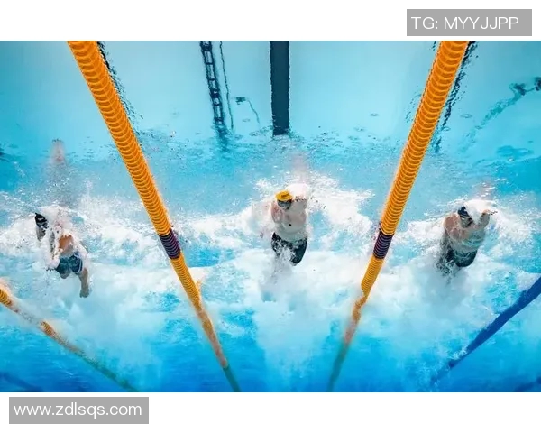 自由泳初学者入门指南技巧与注意事项全解析助你快速提高游泳水平