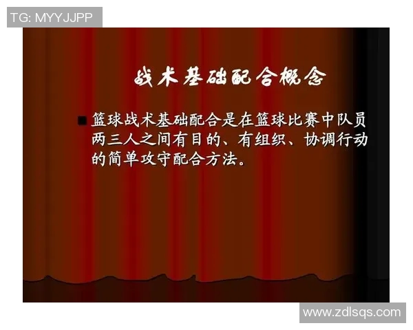 上海羽毛球队快攻战术分析与比赛表现的得失探讨